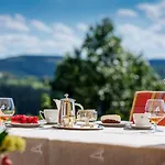 Waldhaus Ohlenbach Otel 4*