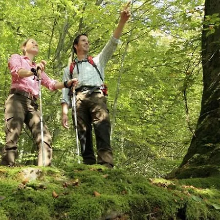 Waldhaus Ohlenbach Schmallenberg